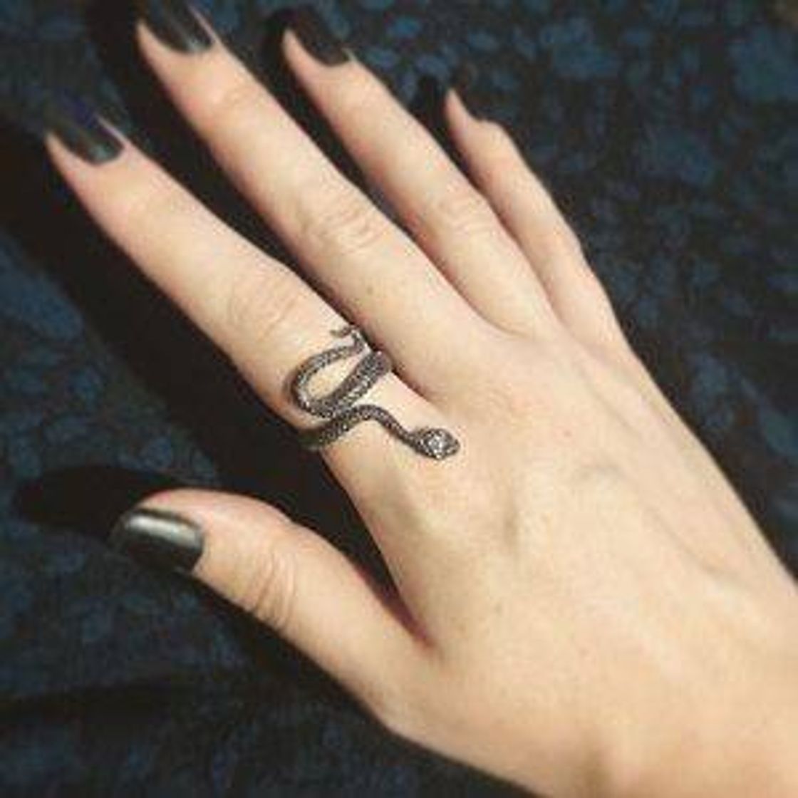 Social Anel snake 