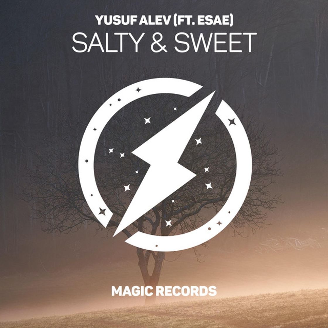 Canción Salty & Sweet