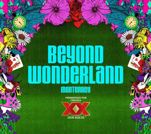 Beyond Wonderland