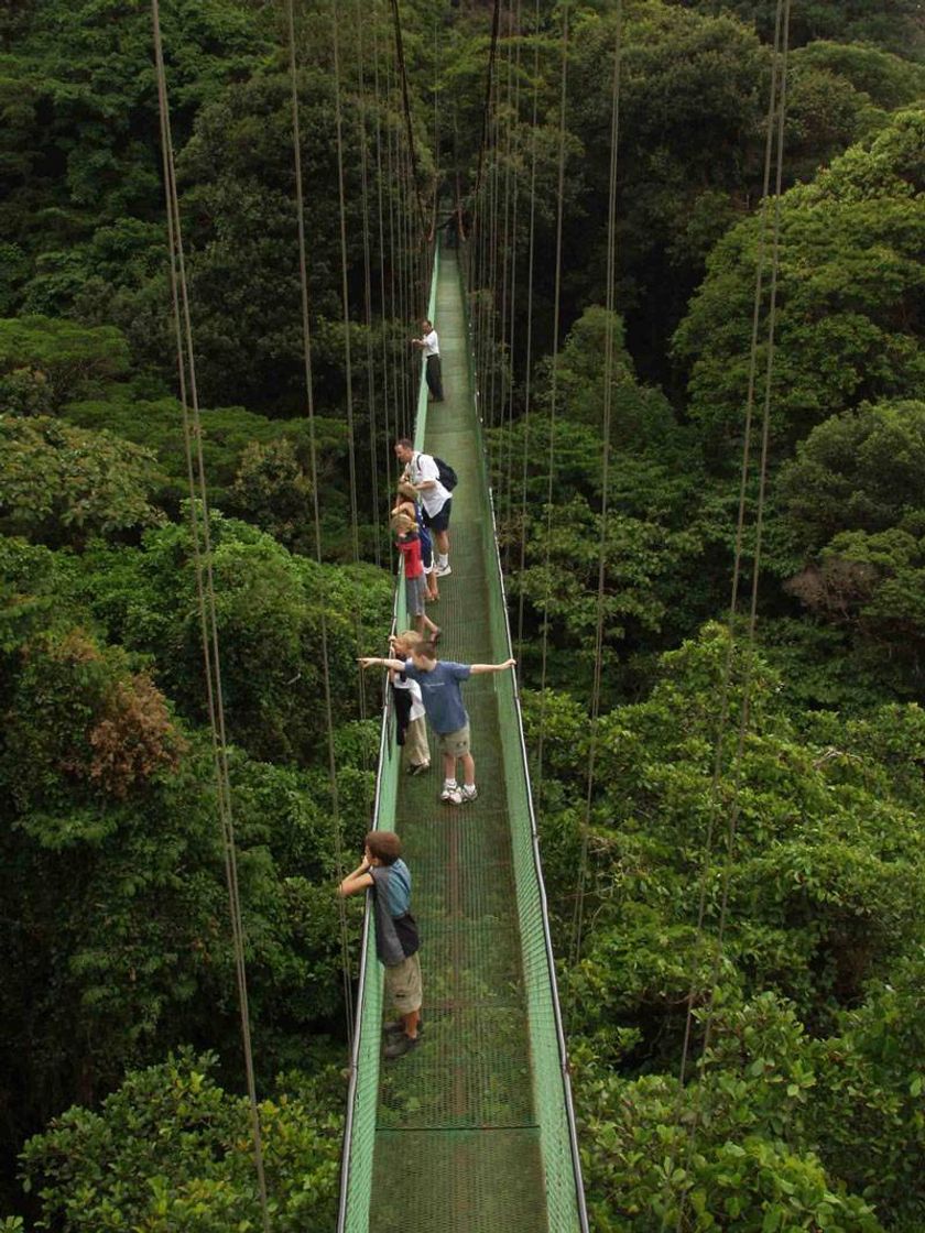 Lugar Monteverde