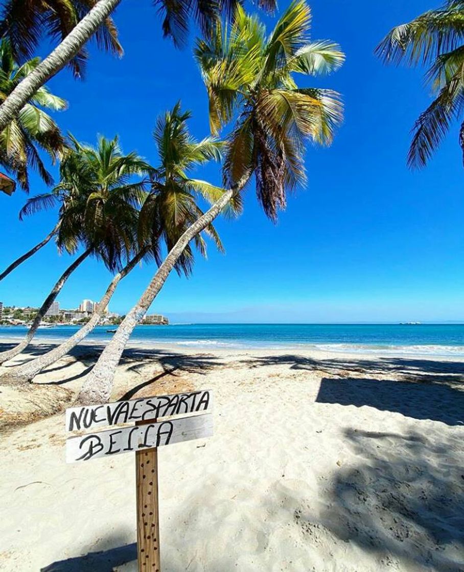 Lugar Isla de Margarita