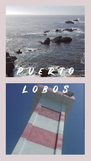 Puerto Lobos