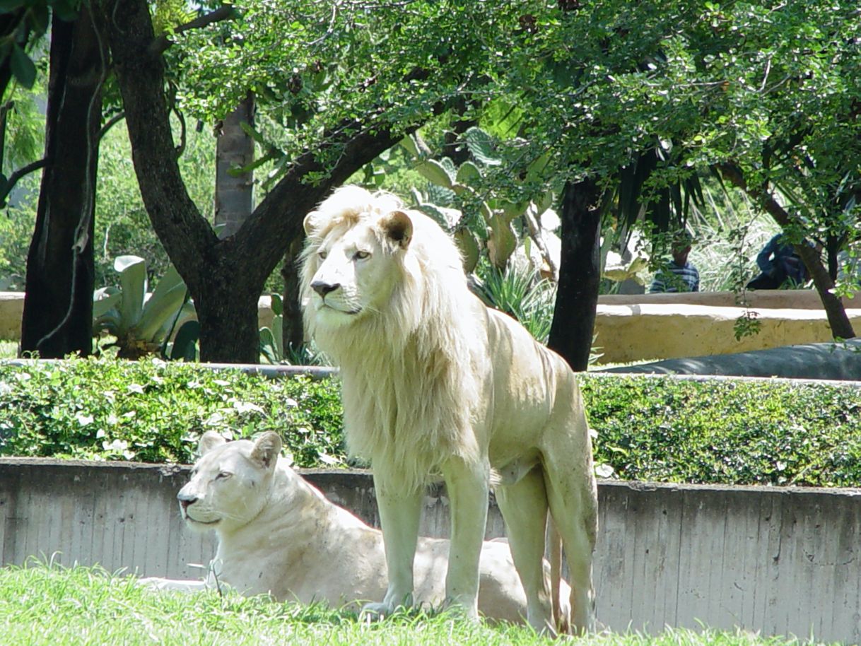 Place Zoológico Guadalajara