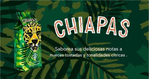 CAFE CHIAPAS