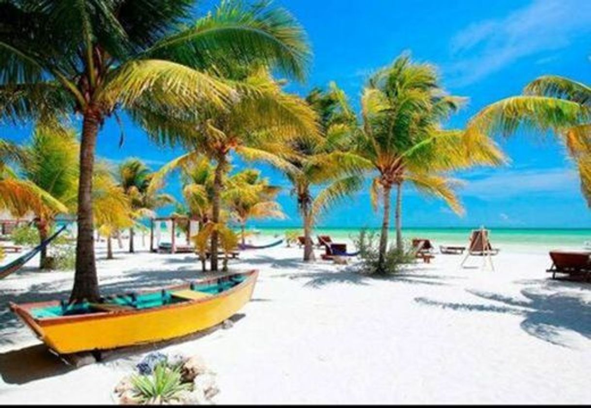 Lugar Isla de Holbox