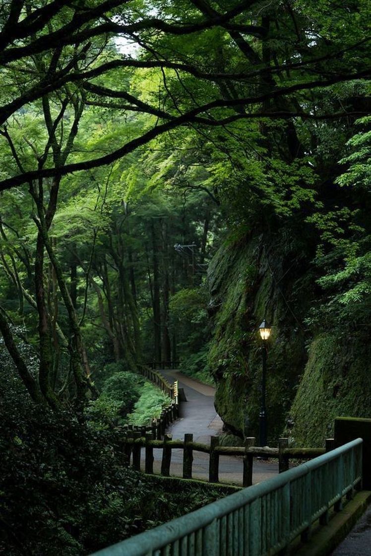 Fashion Naturaleza🌿🍃