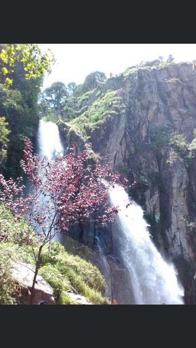 Lugar Cascadas Salto de Quetzalapan