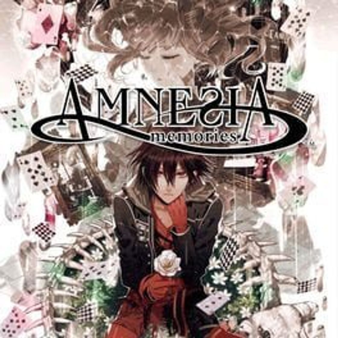 Videogames Amnesia: Memories