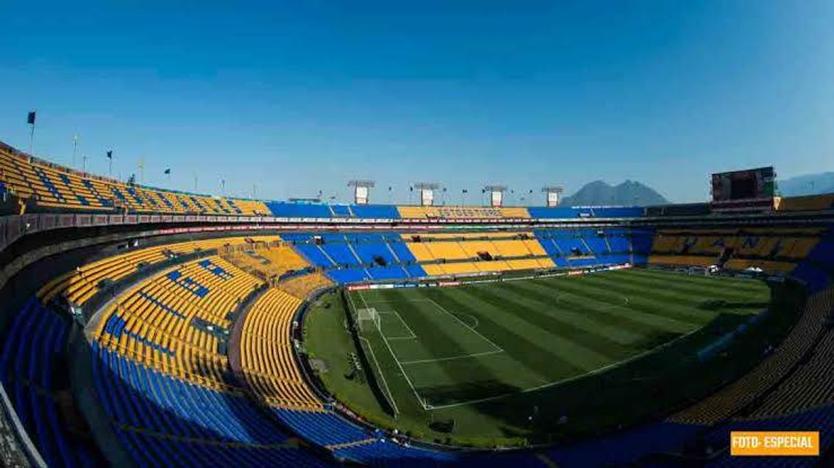 Moda Estadios Universitario💙💛