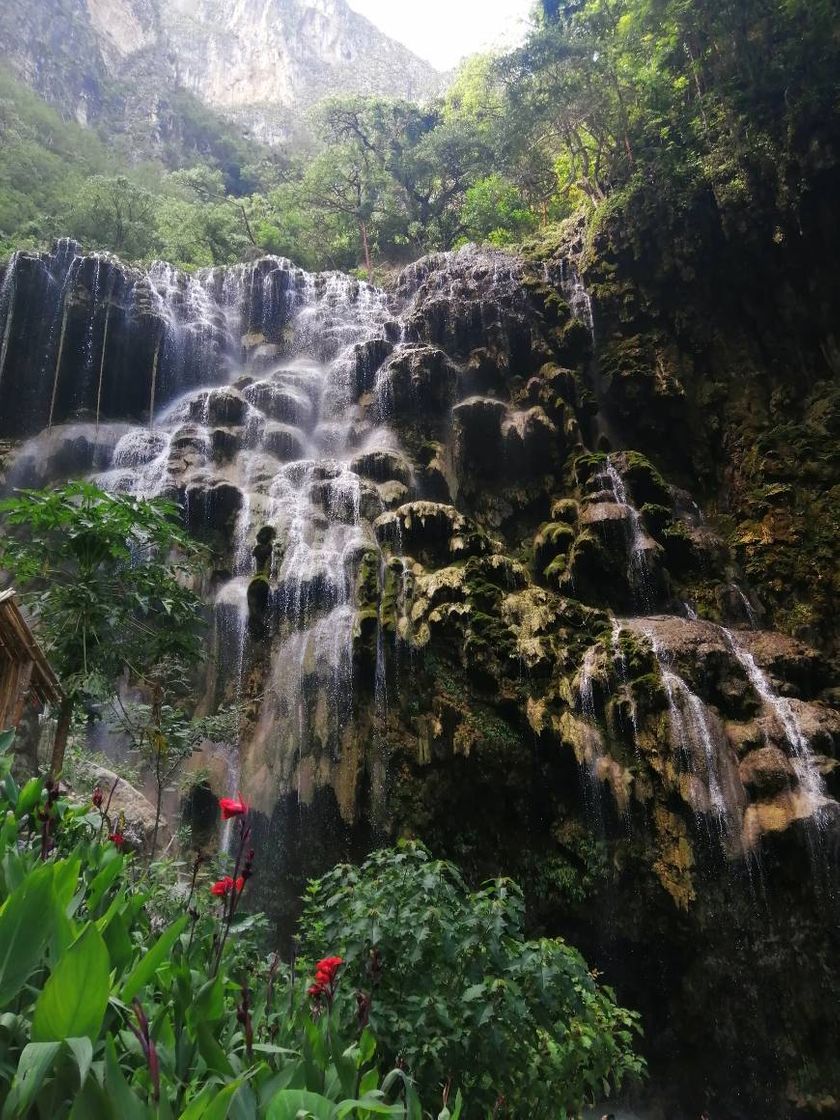 Place Grutas Tolantongo