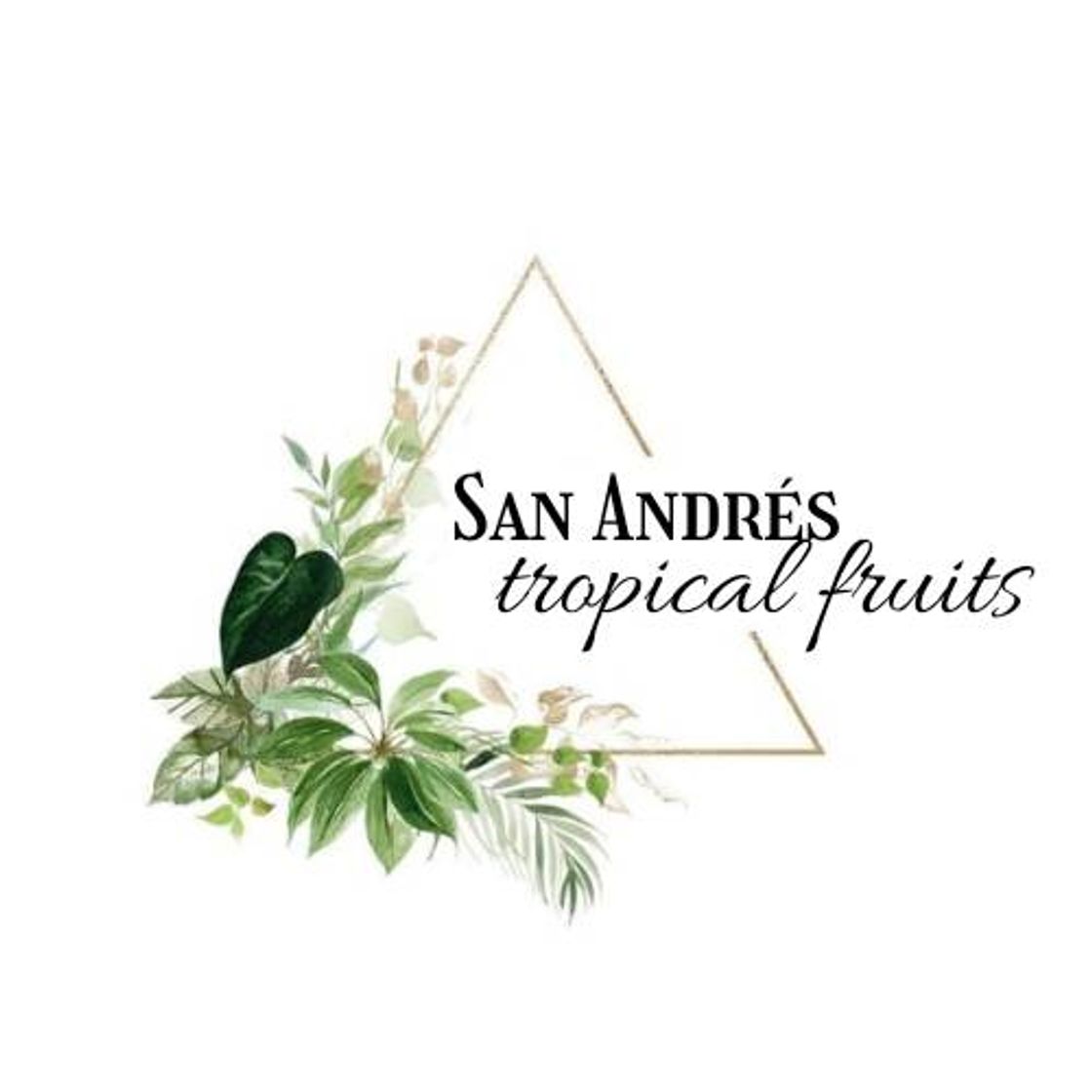 Fashion San Andrés Tropical Fruits, siganla ☺️