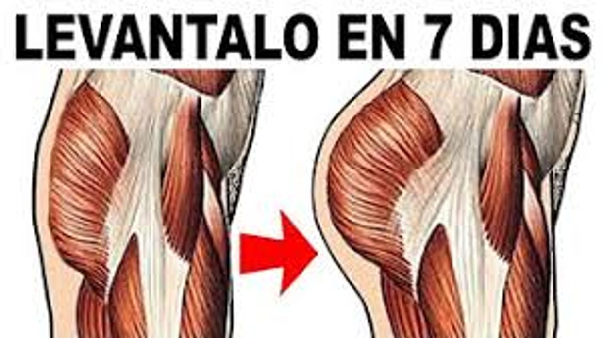 Social 5 Ejercicios para LEVANTAR GLUTEOS en 1 Semana