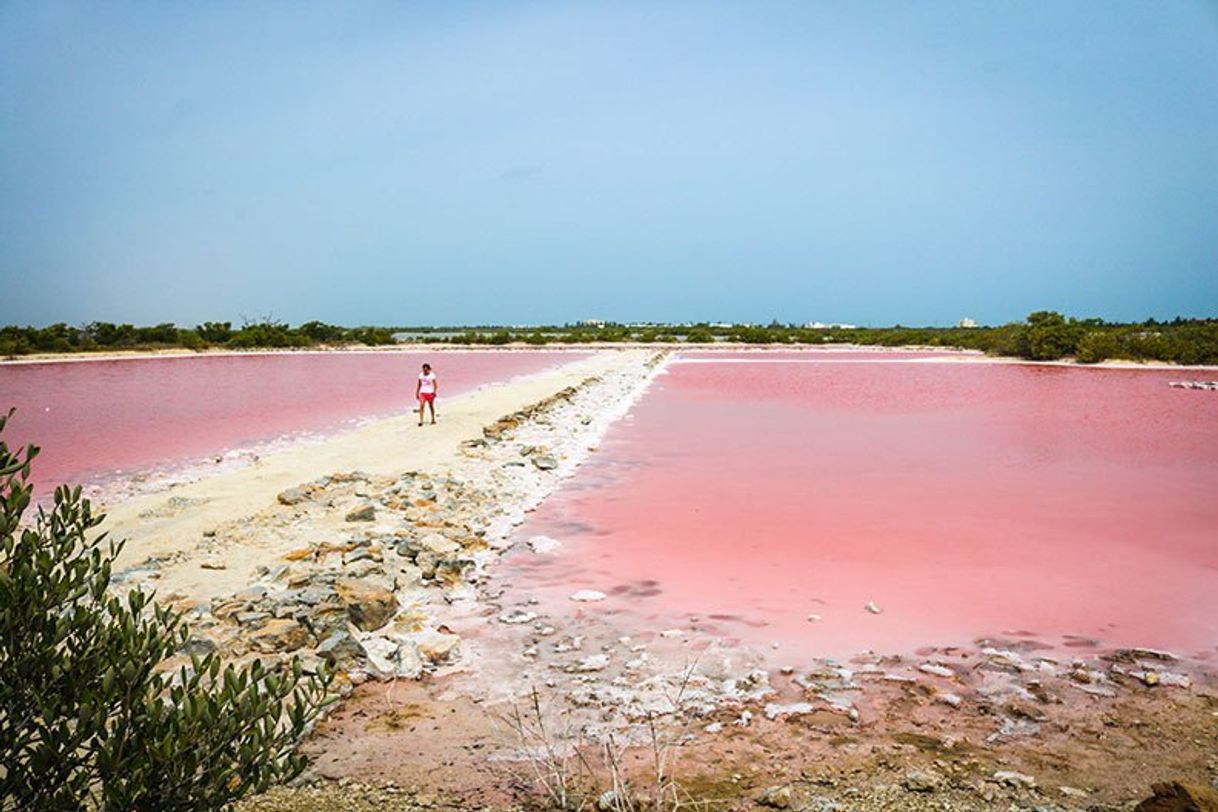 Lugar Laguna Rosada