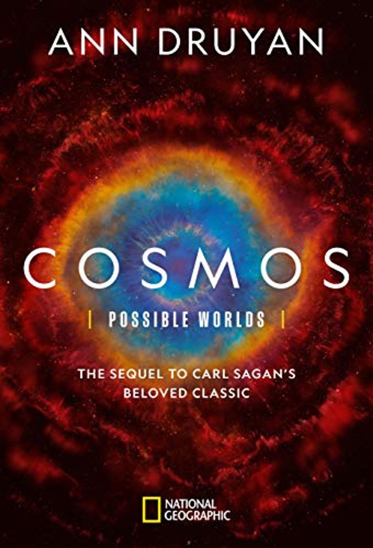 Book Cosmos Possible Worlds