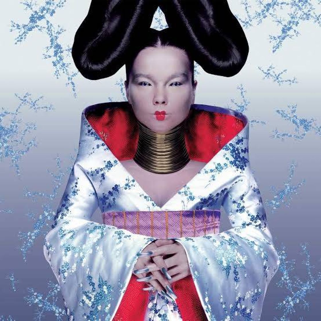 Books Björk - Homogenic 