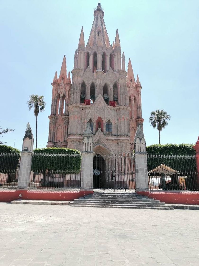 Place San Miguel de Allende