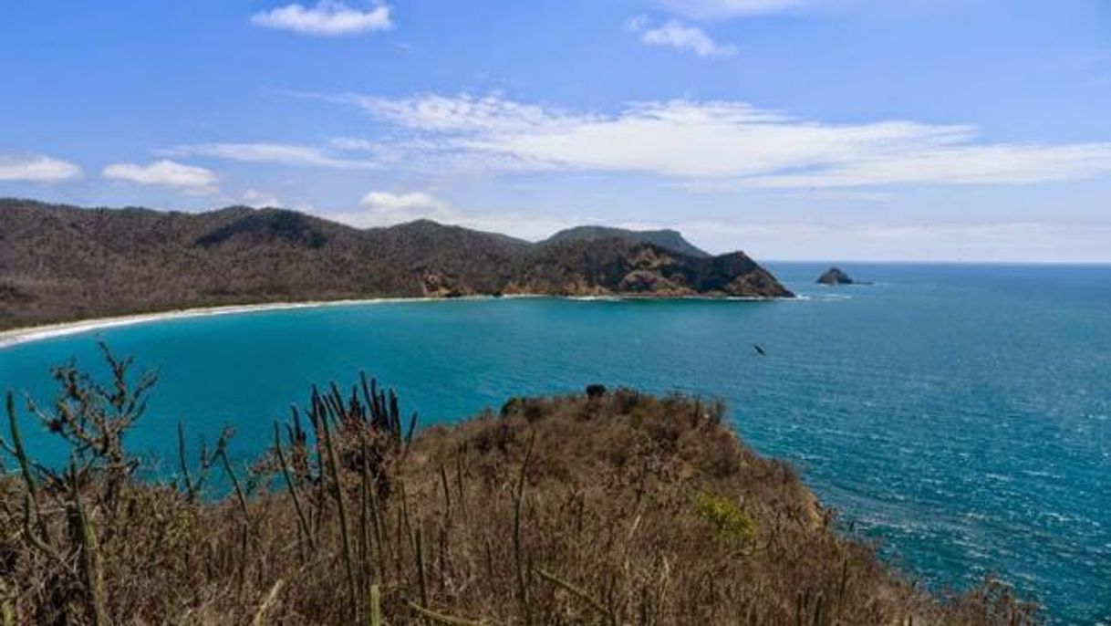 Moda Los frailes 