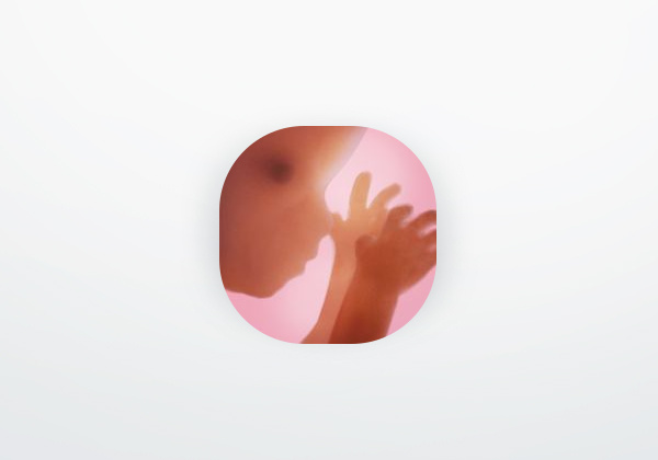 App Pregnancy +