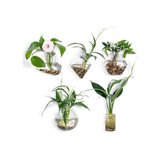 KnikGlass - Juego de 5 jarrones geométricos de pared para plantas de