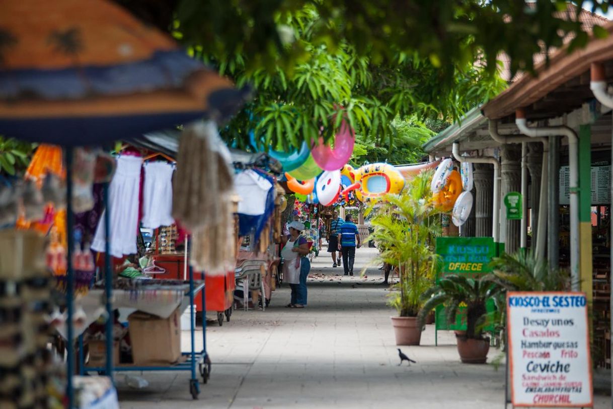 Lugar Paseo de los Turistas