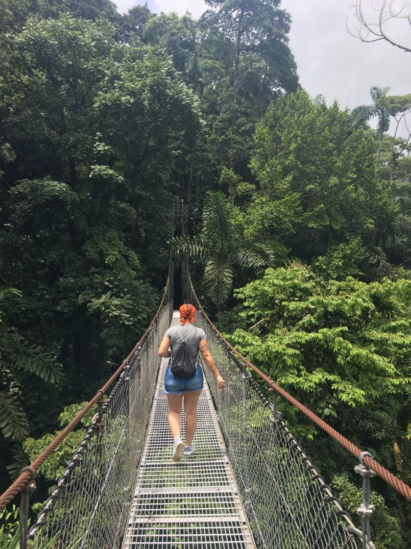 Place Mistico Arenal Hanging Bridges Park