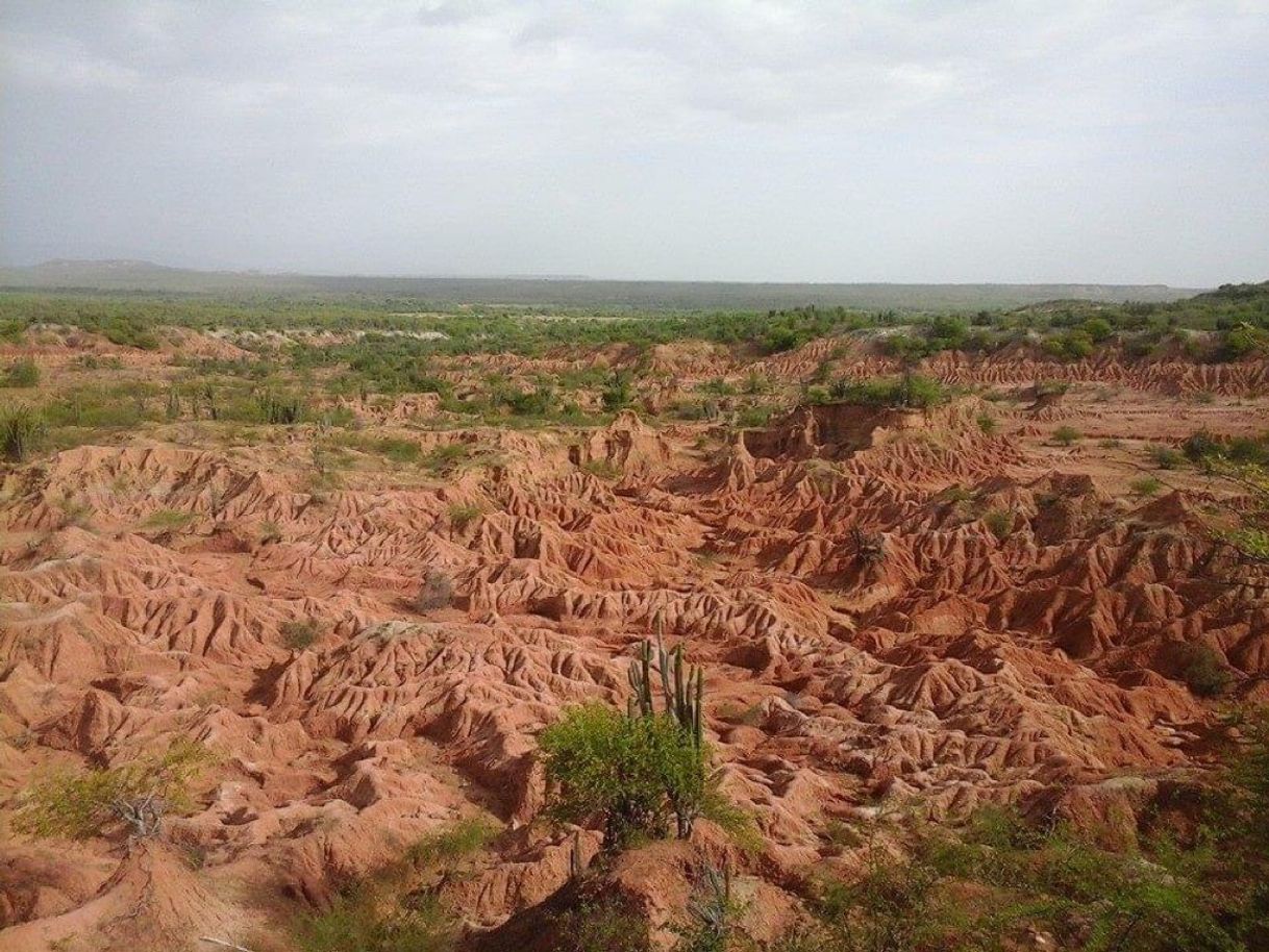 Place Desierto de la Tatacoa