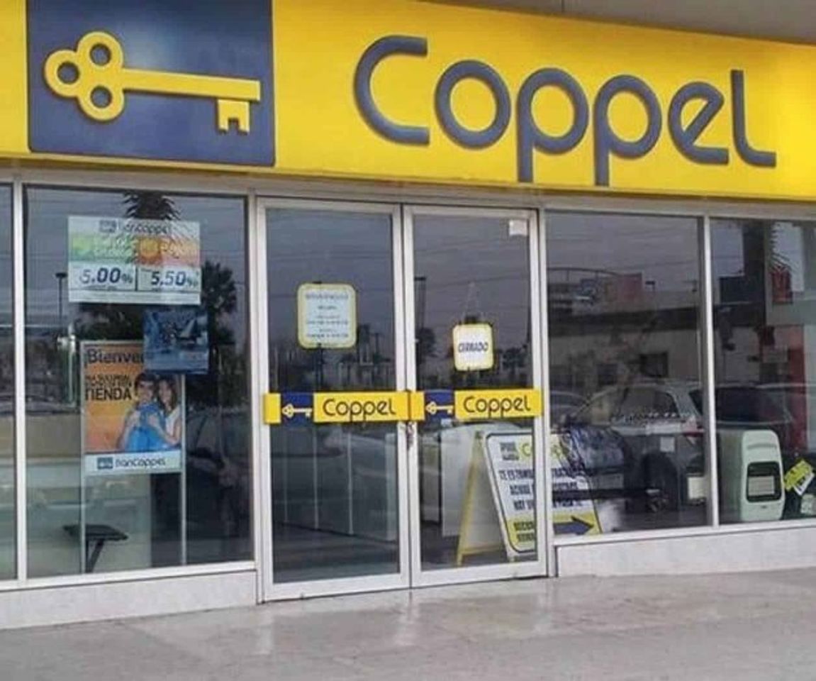 Moda Coppel