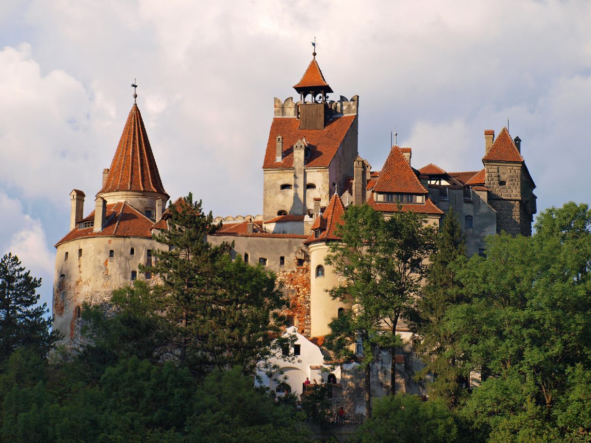 Place Castillo conde dracula