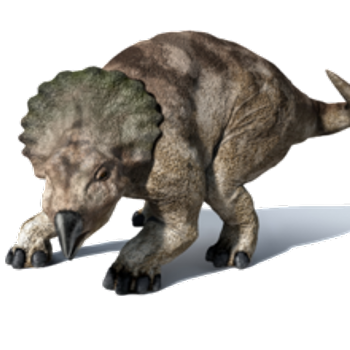 Fashion Protoceratops 