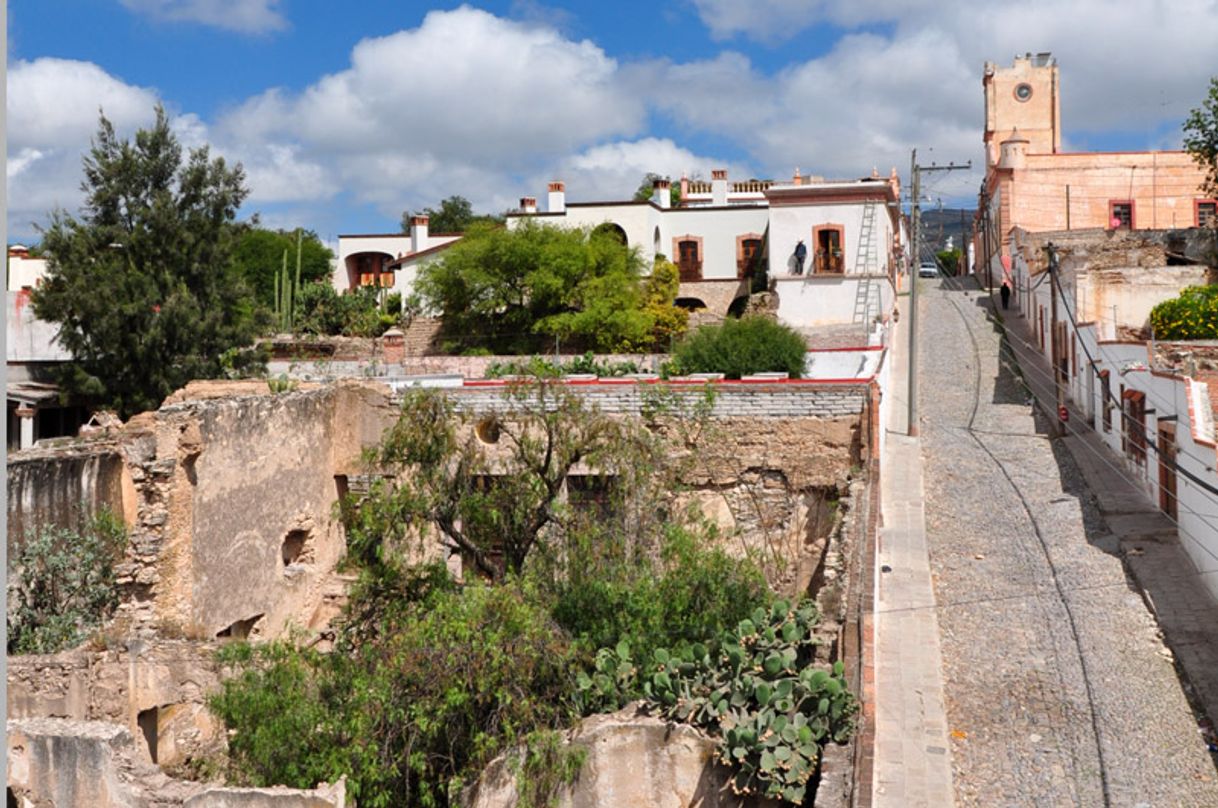 Lugar Mineral de Pozos