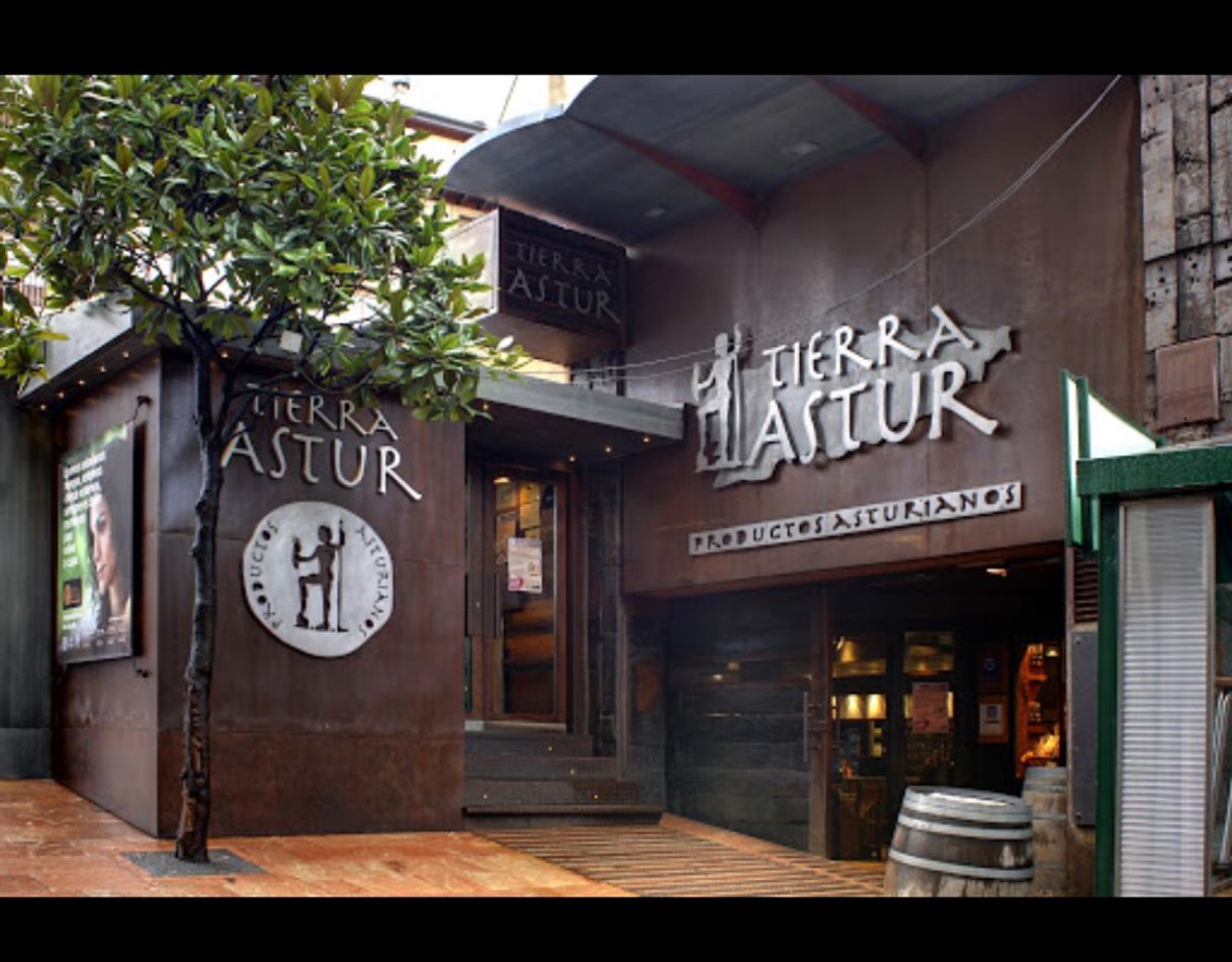 Social Restaurante 