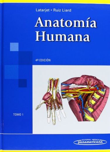 Anatomía Humana