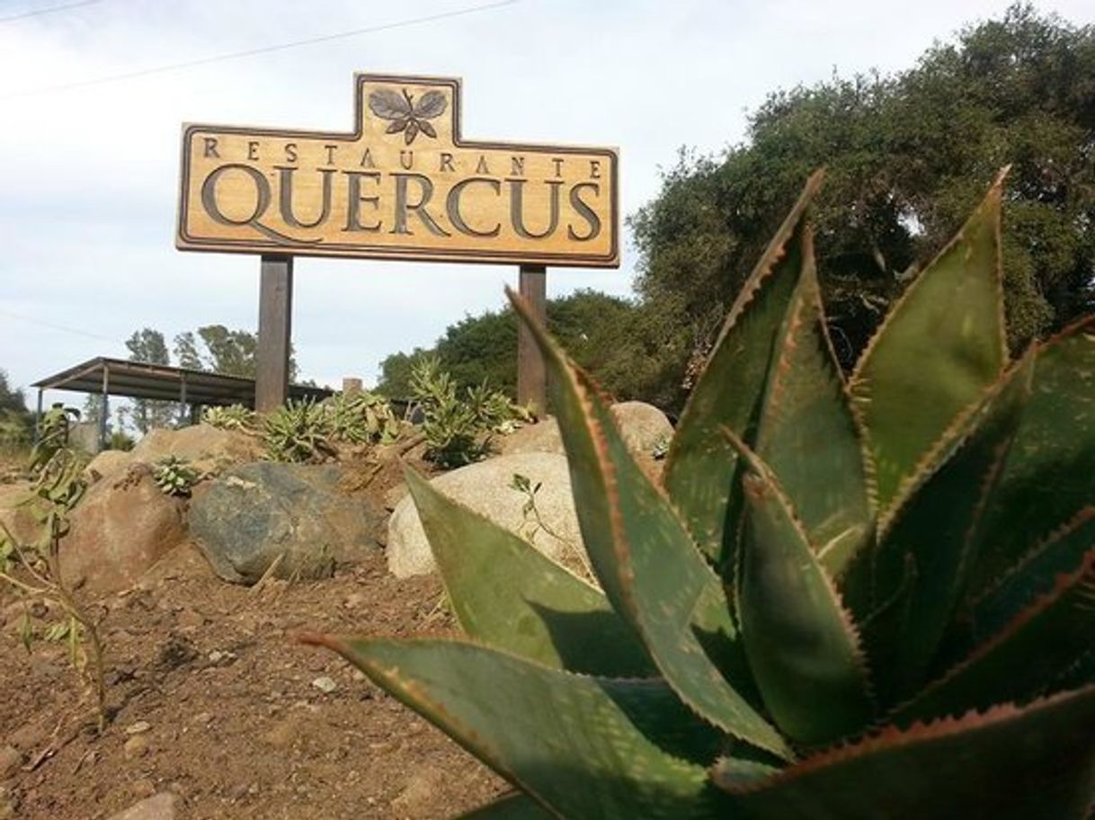 Restaurantes Quercus