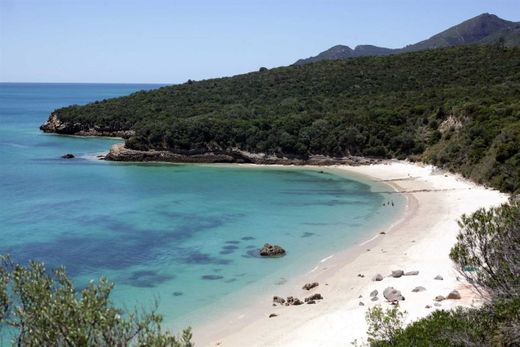 Praia dos Galapinhos