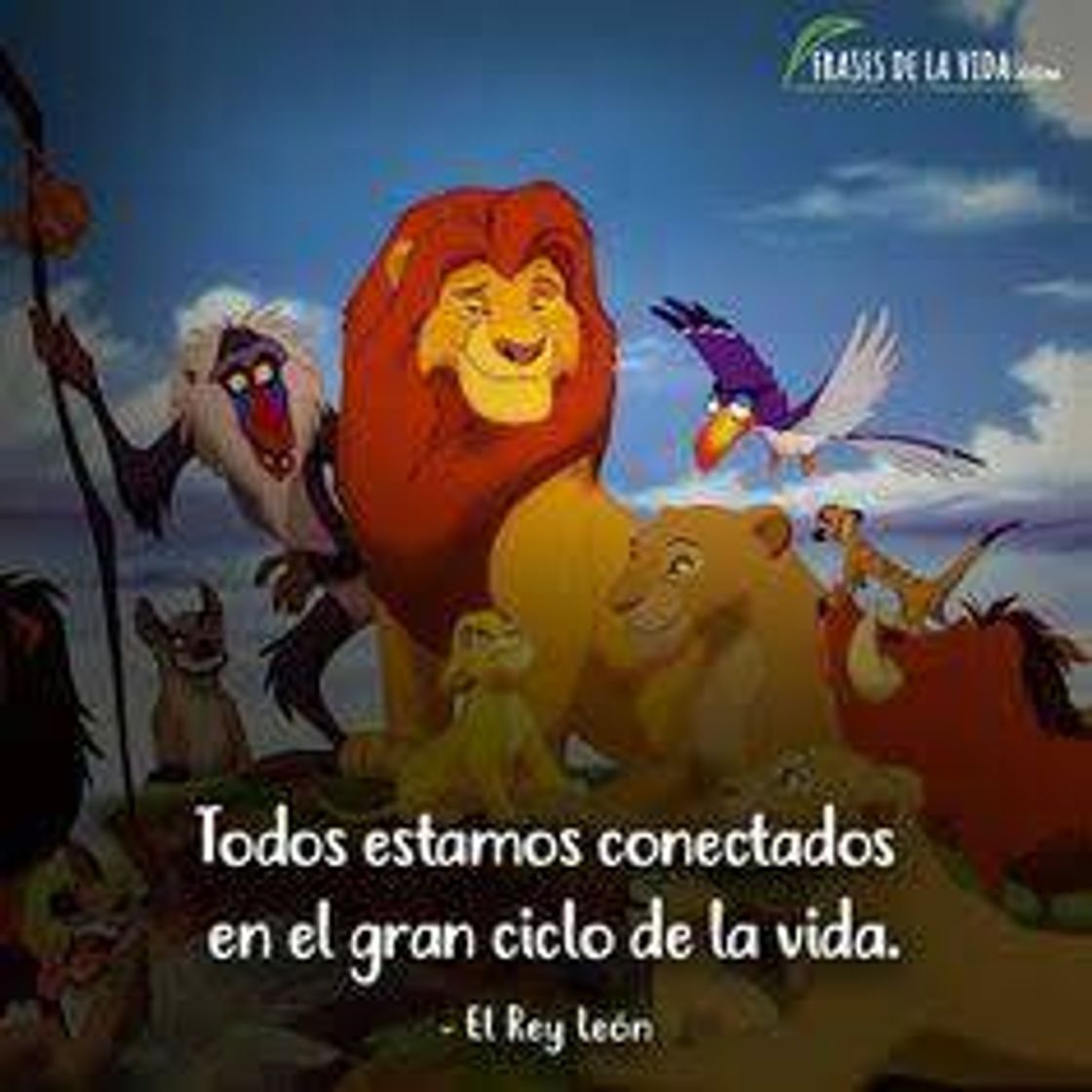 Moda Frases Disney