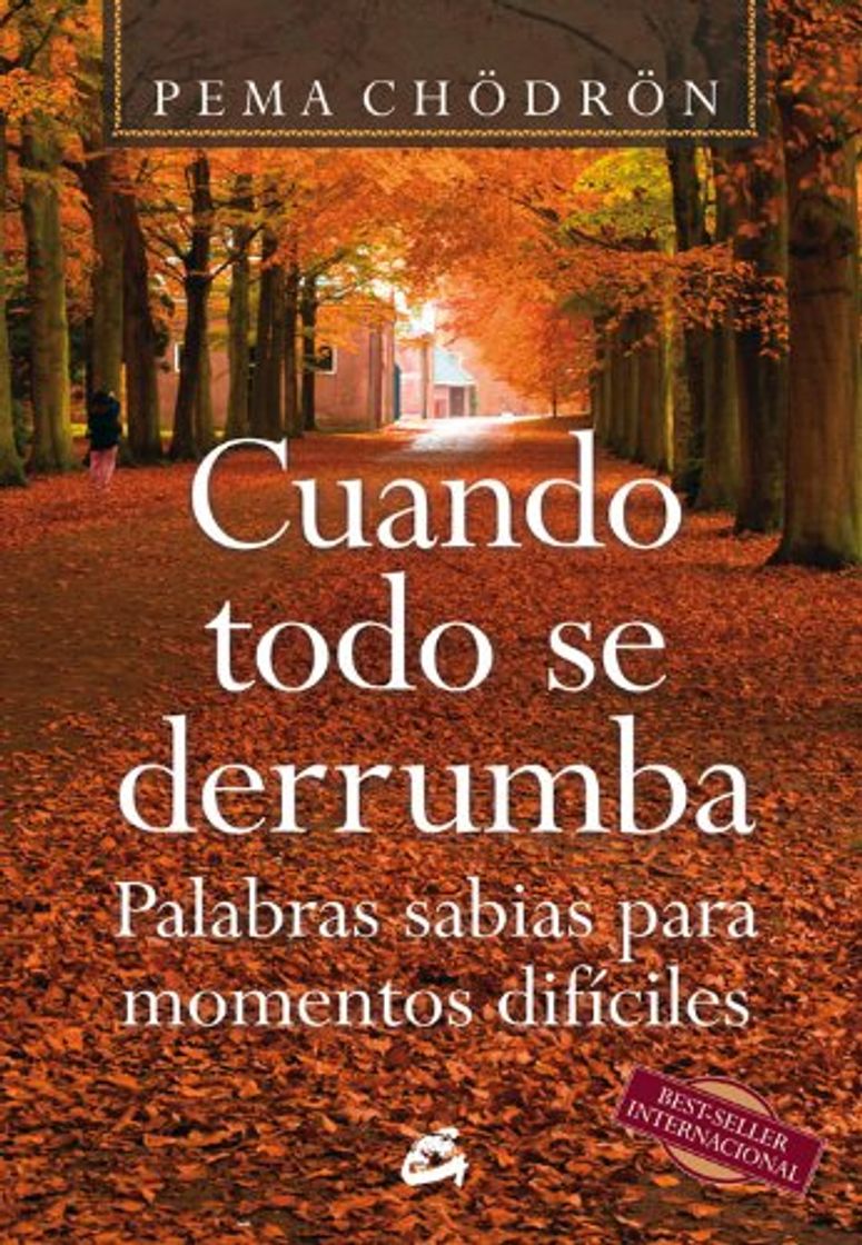 Libro Cuando todo se derrumba: Palabras sabias para momentos difíciles