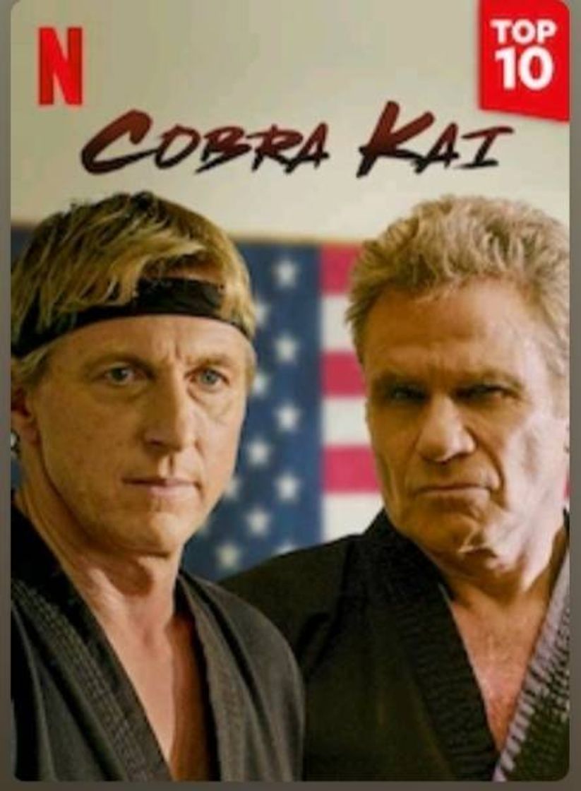 Serie Cobra kai |Netflix 