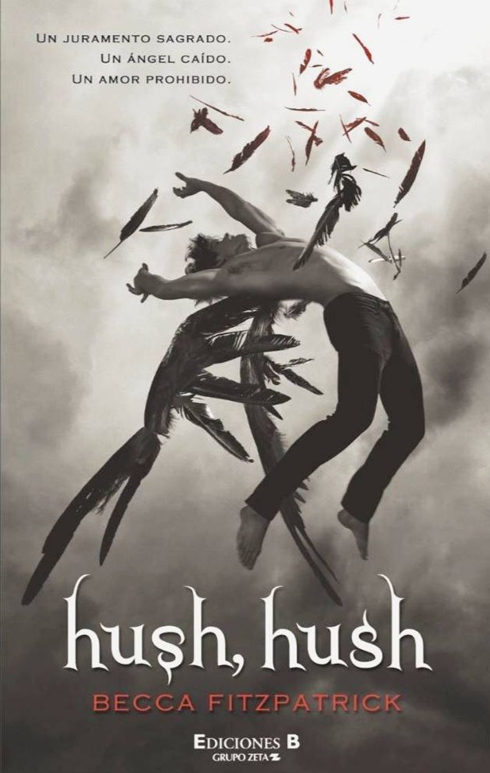 Libro Hush, Hush