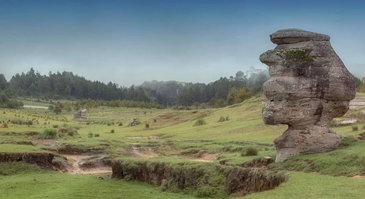 Place Piedras Encimadas Valley