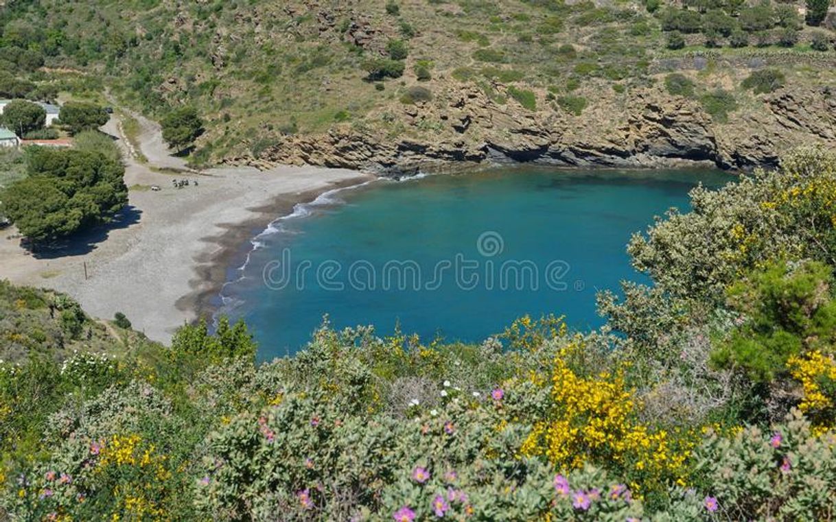 Place Cala Jóncols