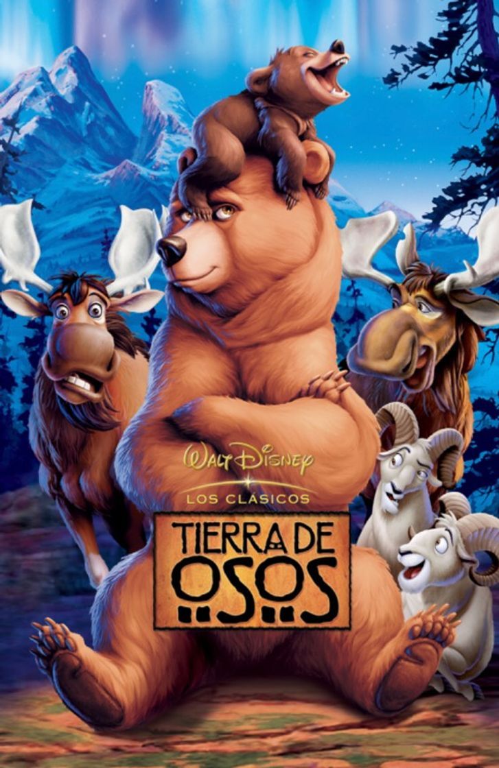 Películas Tierra de Osos 🐻 