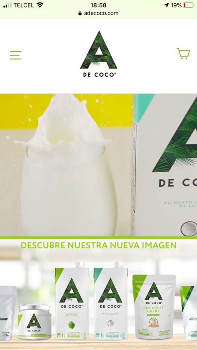 Fashion Productos de Coco 