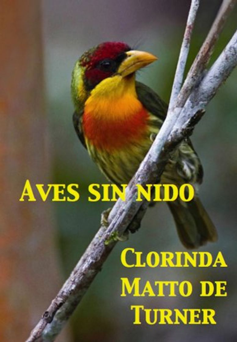 Libro Aves sin nido