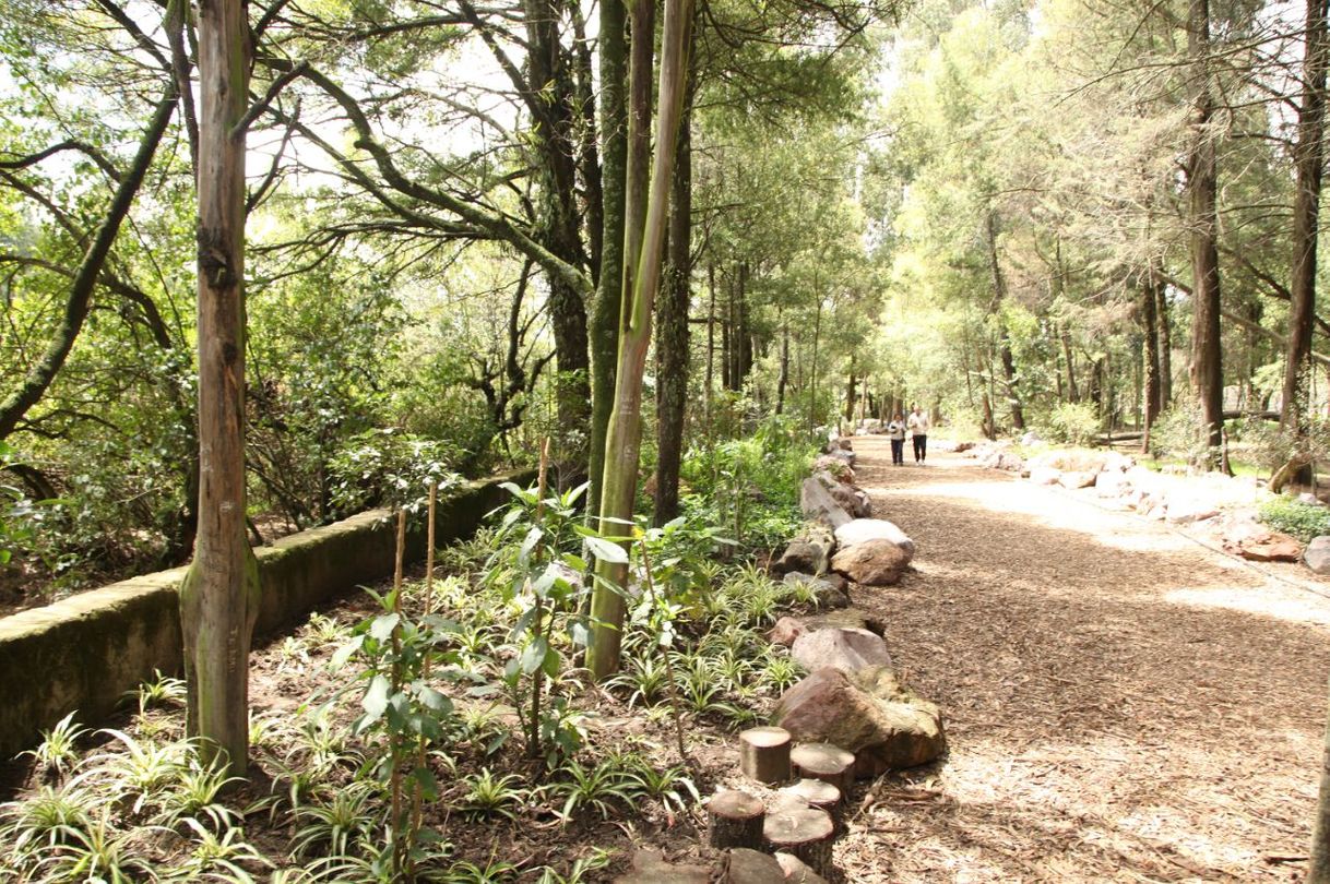 Lugares Parque Las Cuadras