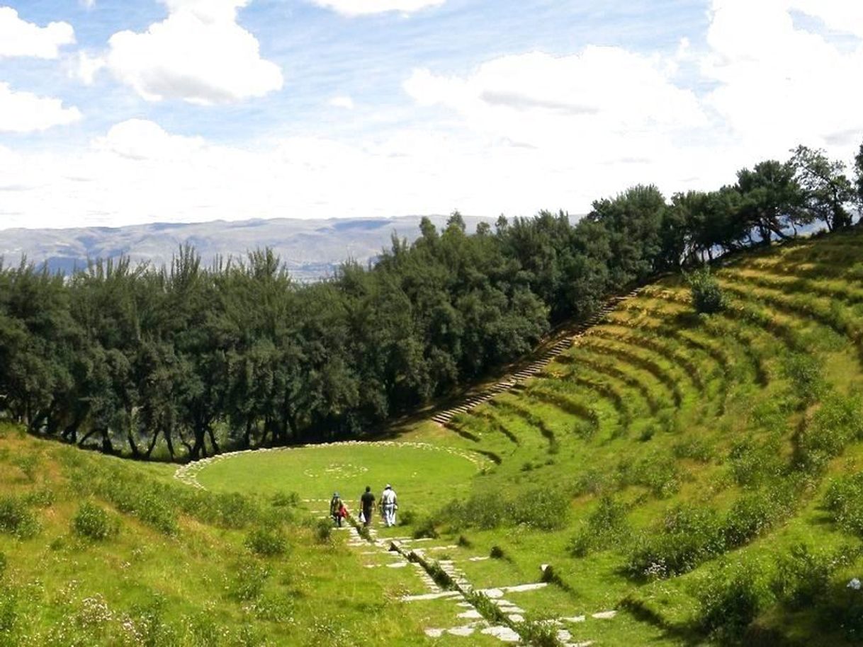 Lugar Bosque Dorado