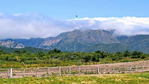 Sierra de los Comechingones