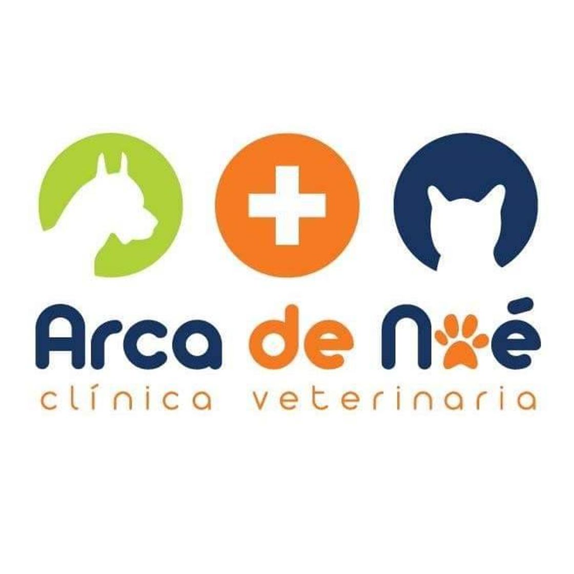 Moda Veterinaria.