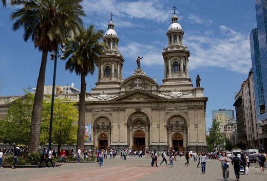 Catedral Metropolitana