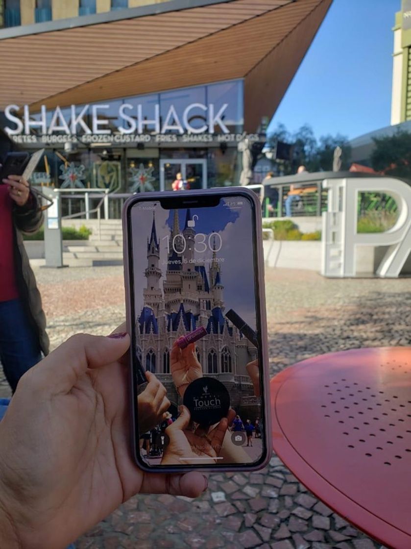 Restaurantes Shake Shack