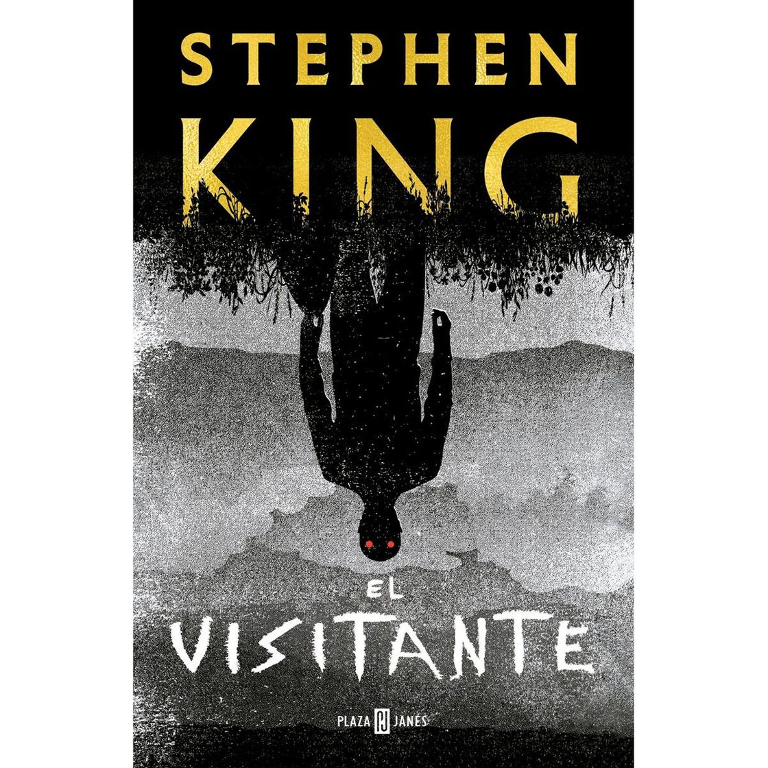 Book El visitante